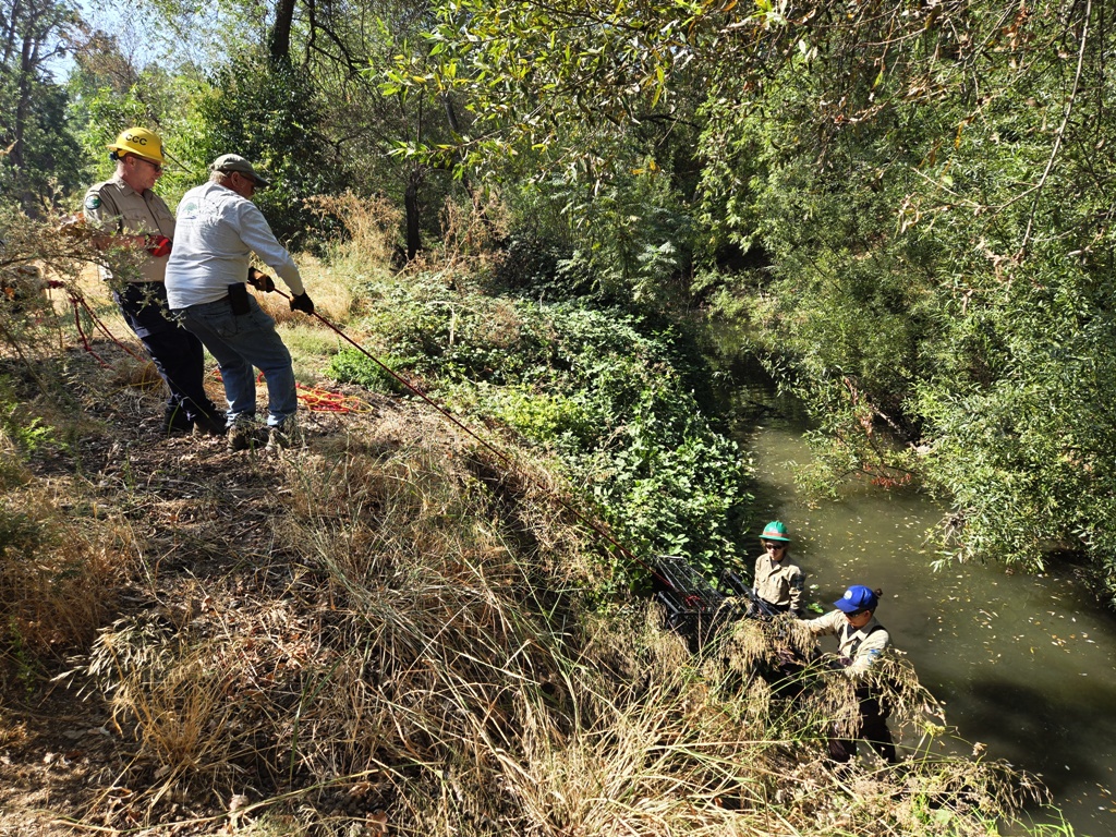 Removing a shopping cart from the creek.